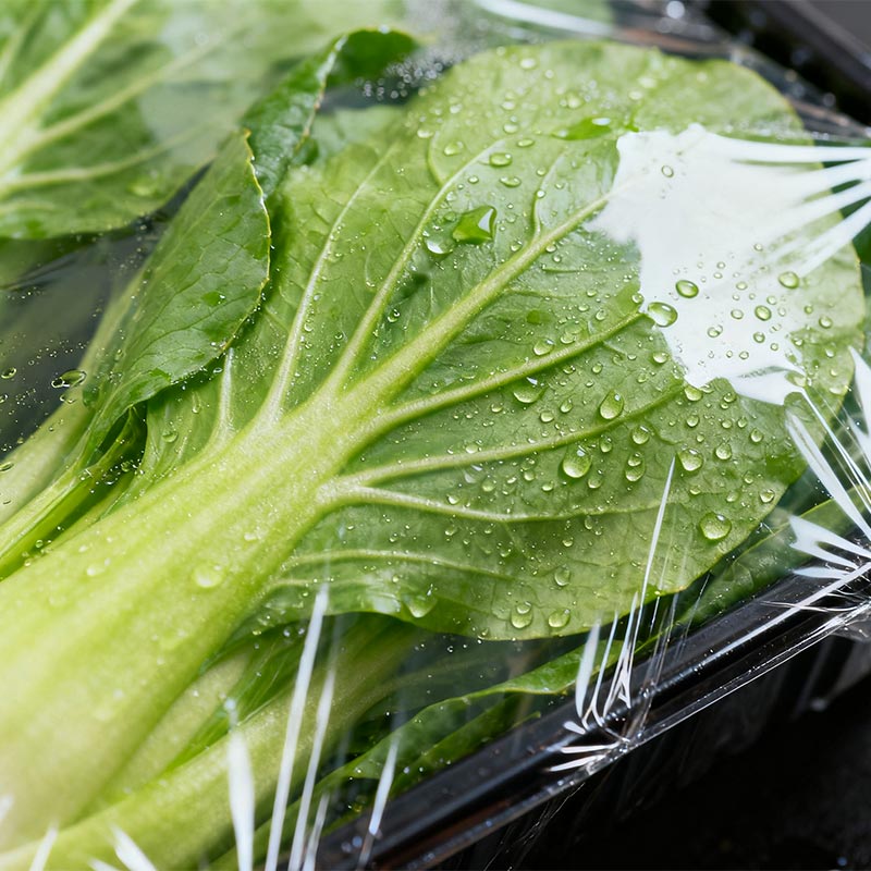 Vegetable and Fruit Tray Packaging PE Shrink Wrap Film